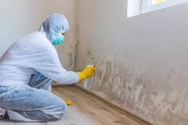 Best Asbestos and Lead Testing During Mold Inspection  in USA